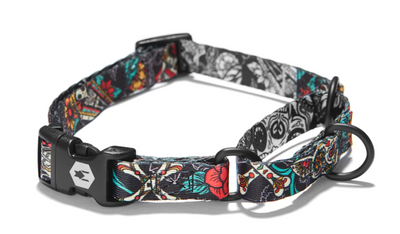 Wolfgang Dog Collar