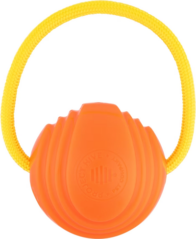 Project Hive Zoomer Looped Ball