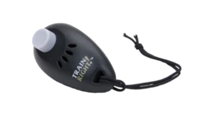 Coastal Train Right! Clicker