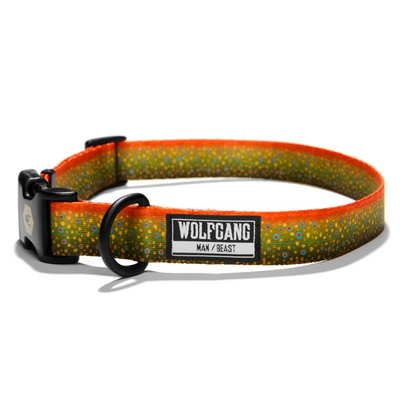 Wolfgang Dog Collar
