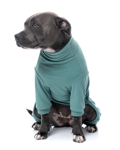 FuzzYard Life Pajama