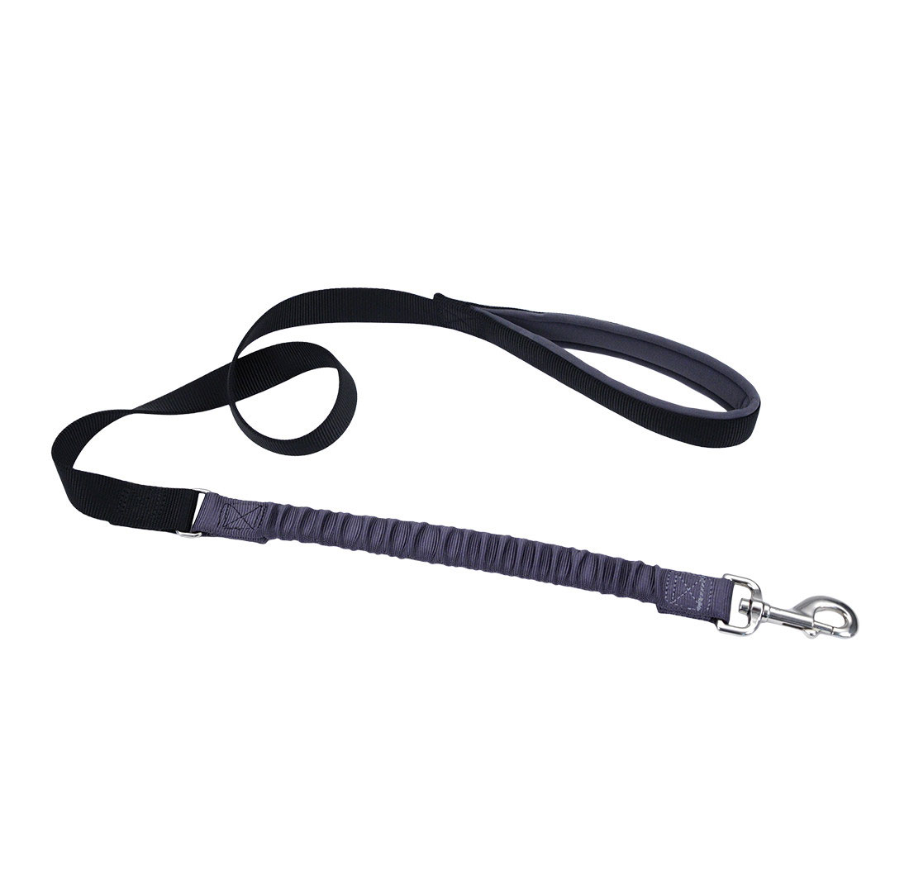 Coastal Bungee Leash Black 4'