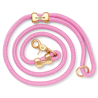 Foggy Dog Marine Rope Dog Leash 5'