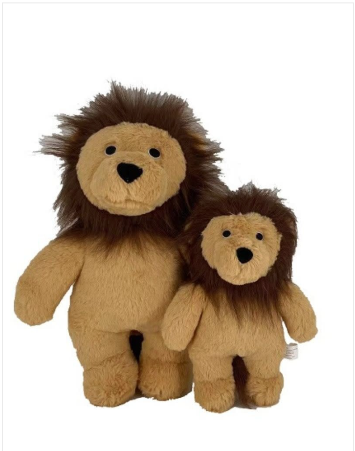 Dog Star Rory the Lion