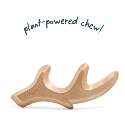 Woof Pet Meaty HonestChew Antler Bone