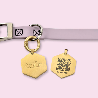 Tailr QR Pet ID Tag