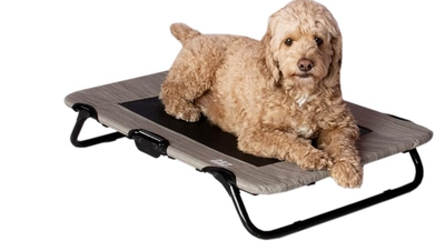 Pet Gear Pet Cot