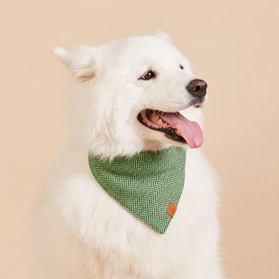 Foggy Dog Bandana