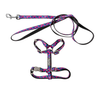 FuzzYard Fashion Cat Walking Set