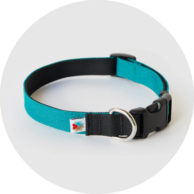 Wildebeest Pacifica Standard Collar