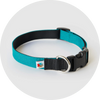 Wildebeest Pacifica Standard Collar
