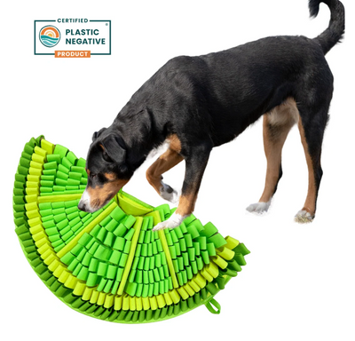 PawzNDogz Zesty Lime Snuffle Mat Level 2