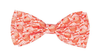 FuzzYard Bowtie