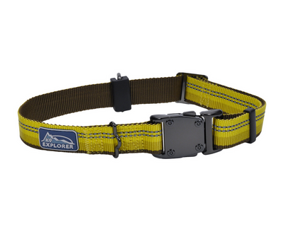 K9 explorer adjustable reflective dog deals collar