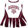 Texas A&M Doggie Cheerleader