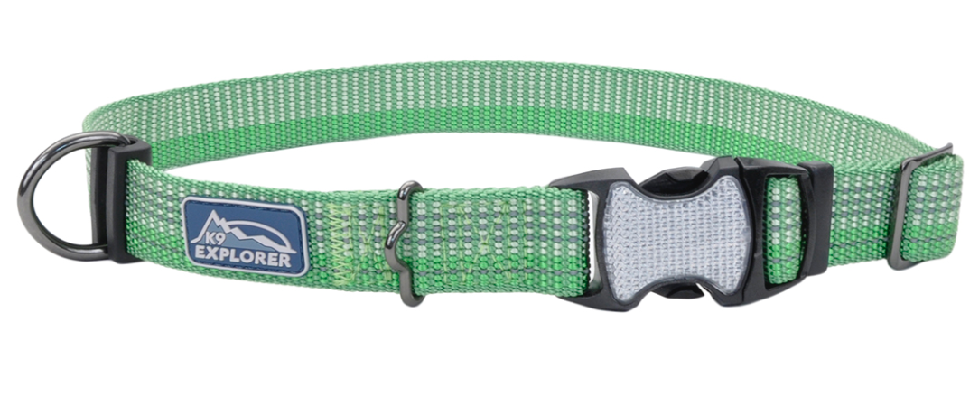 Coastal K9 Explorer Brights Reflective Dog Collar Healthy Pet Austin