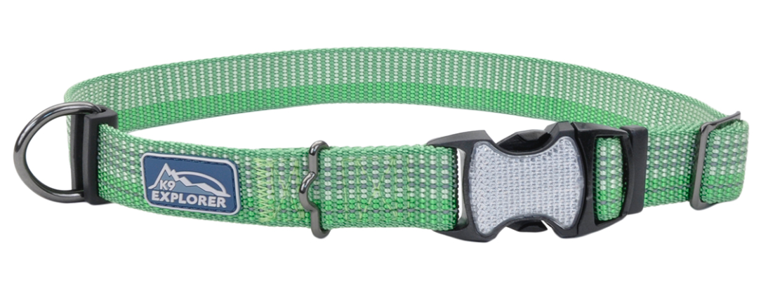 Coastal K9 Explorer Brights Reflective Dog Collar