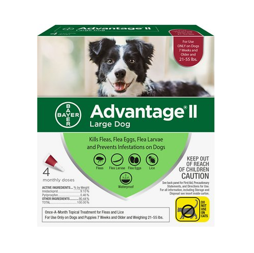 Advantage II - 4 Pack – Healthy Pet Austin