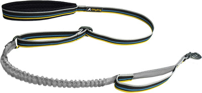 Olly Dog Urban Journey Adjustable Spring Leash