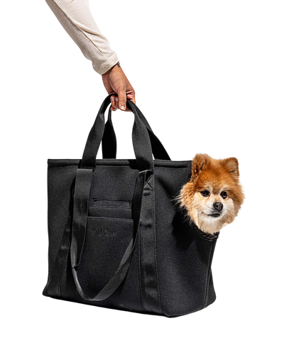 Wild One Everyday Pet Carrier
