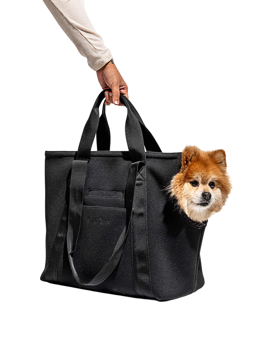Wild one dog carrier best sale