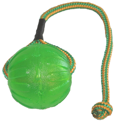 Starmark Everlasting Fun Ball on a Rope