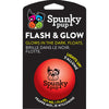 Spunky Pup Flash & Glow Ball Medium