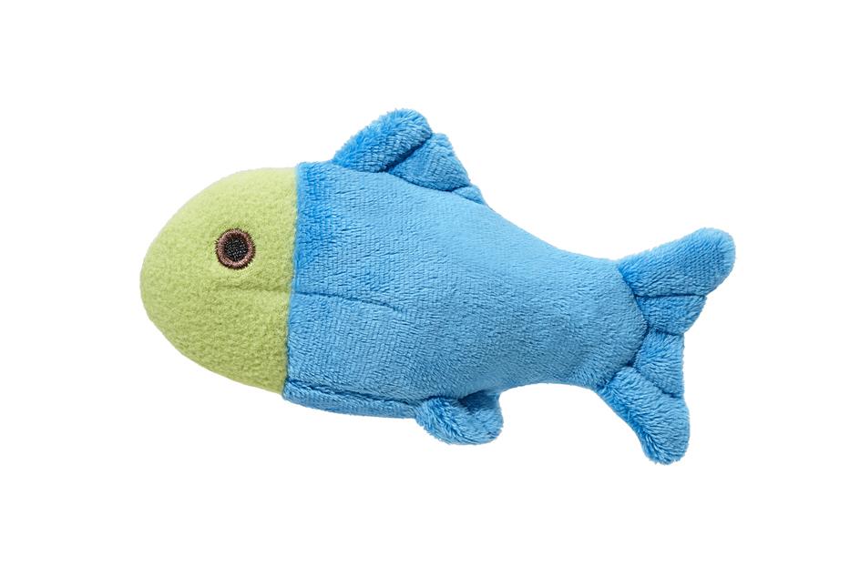 Fluff & Tuff Molly Fish – Healthy Pet Austin