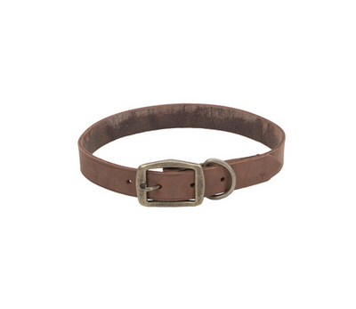 Coastal Circle T Rustic Leather Dog Collar