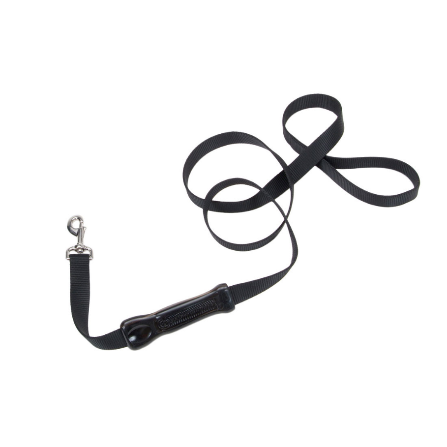 Coastal Control Handle Leash 6'