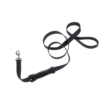 Coastal Control Handle Leash 6'