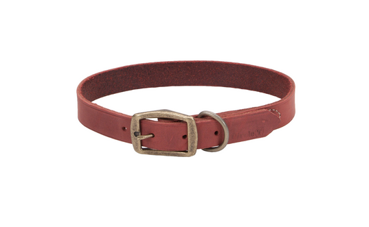Coastal Circle T Rustic Leather Dog Collar