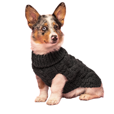 Fabdog Wool Turtleneck