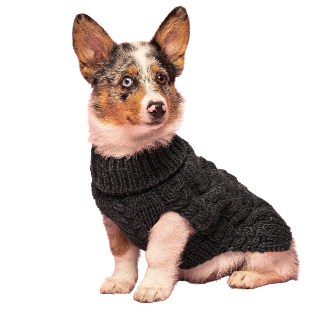 Fabdog Wool Turtleneck