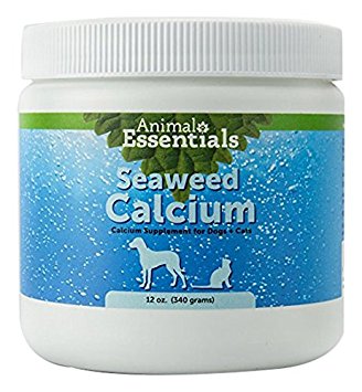 Animal Essentials Sea-Cal Calcium Supplement 12 oz. – Healthy Pet Austin