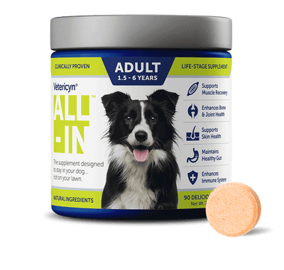 Vetericyn All In One Adult Supplement 90 ct.