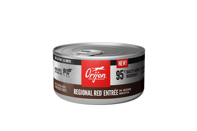 Orijen Regional Red Shredded Beef Pate