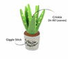 P.L.A.Y. Blooming Buddies Aloe-ve You Plant