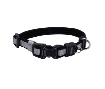 Neoprene dog collar online