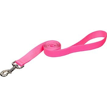 Coastal Single-Ply Nylon Leash