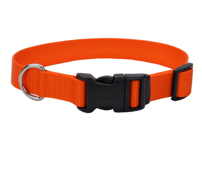 Plastic dog outlet collar