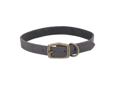 Circle t dog collar cheap
