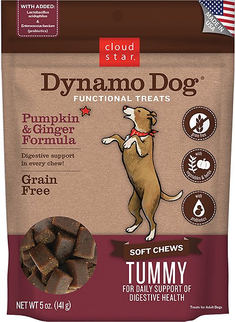 Cloud Star Dynamo Dog Tummy Pumpkin & Ginger Formula