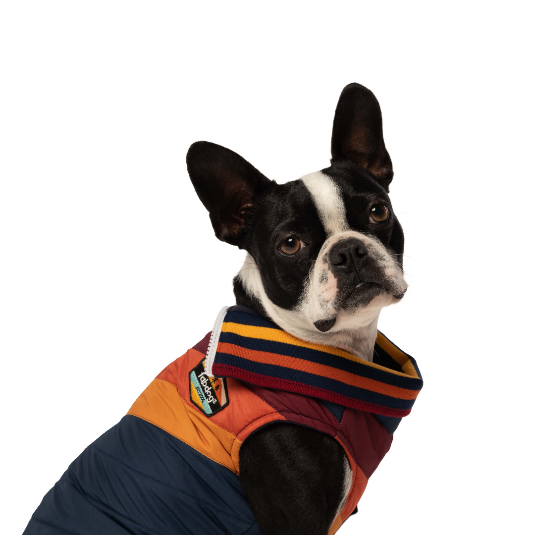 Fabdog Chevron Jacket Healthy Pet Austin